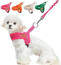 BEAUTYZOO Dog Harness for Small Dogs, No Pull Dog Harness and Leash Set, Soft Escape Proof Puppy Vest Harness with Handle, Reflective Lightweight Step in Harness for Girl Boy Dogs, Pink S
