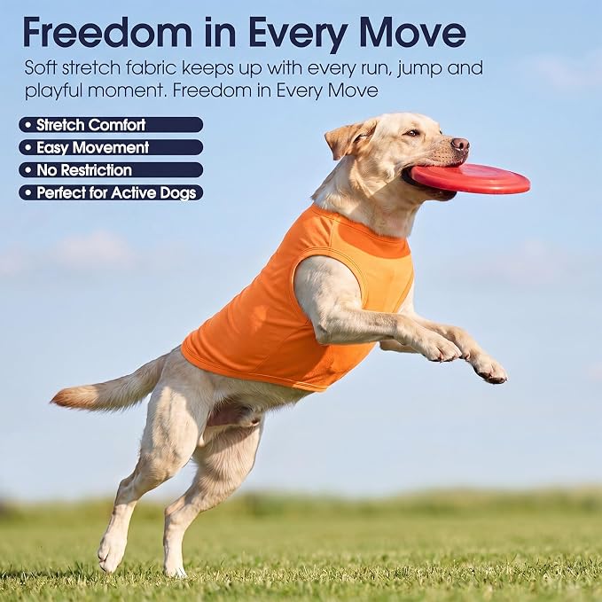 IECOii 2 Pack Dog Surgery Recovery Shirt Sleeveless Lightweight Dog Tshirt | T-Shirts with Stretch Fit,Gentle on Sensitive Skin,Anti-licking for Hot Spots,Shedding Control Tee,For Small to Giant Dogs