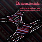 rabbitgoo Dog Harness, No Pull for Large Dogs with 2 Leash Clips, Pet Vest | No Choke with Handle, Adjustable Soft Padded, Reflective, Easy Control for Walking, Red Stripe, X-Large