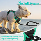 rabbitgoo Dog Harness, No Pull for Small Dogs with 2 Leash Clips, Pet Vest | No Choke with Handle, Adjustable Soft Padded, Reflective, Easy Control for Walking, Black & Turquoise, X-Small