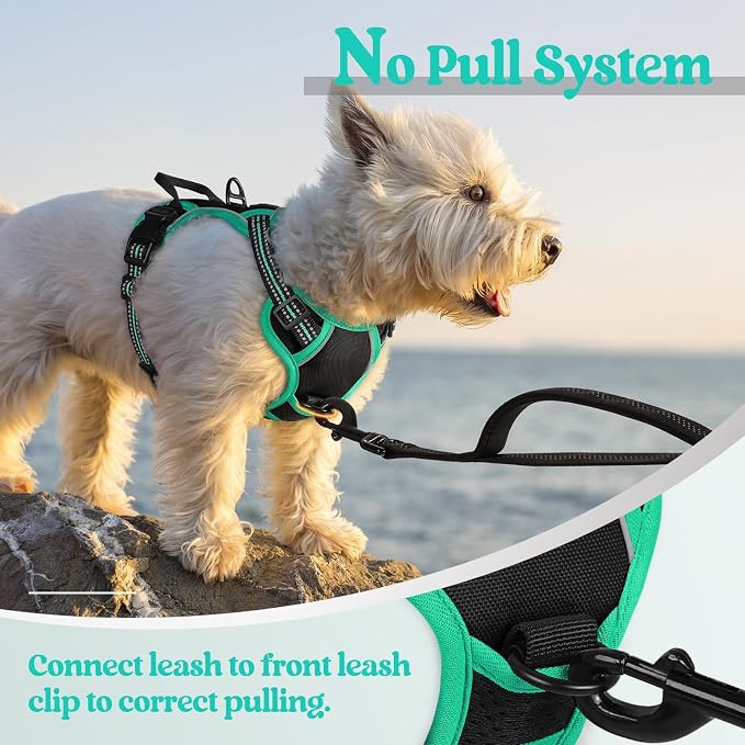 rabbitgoo Dog Harness, No Pull for Small Dogs with 2 Leash Clips, Pet Vest | No Choke with Handle, Adjustable Soft Padded, Reflective, Easy Control for Walking, Black & Turquoise, X-Small