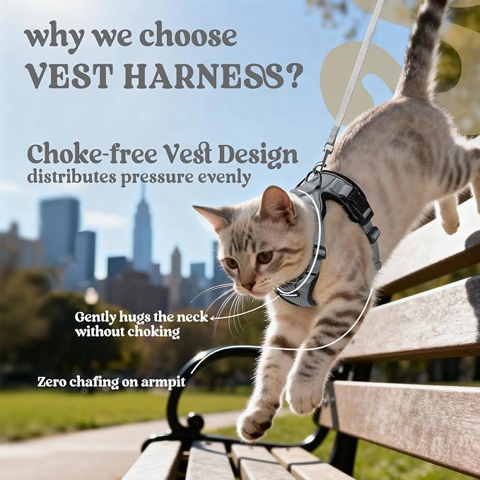rabbitgoo Cat Harness and Leash Set, Escape Proof Vest, Grey | Soft Breathable Mesh, Easy Adjustable Fit, Snap Buckles, Sturdy Clip, Reflective Strips, for Small & Average Cats Walks, Xs
