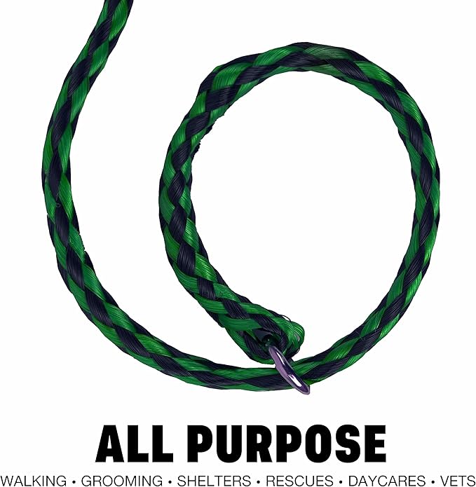 Downtown Pet Supply Braided Poly Slip Lead Dog Leash, 24 Pack, 5' Long - Universal Dog Slip Leash with Metal O Ring - Great for Groomers, Shelters, Rescues, Vets, or Doggy Daycares