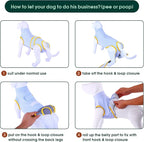 Kuoser Recovery Suit for Dogs Cats, Soft Dog Surgery Suit Female Male Spay | Professional Dog Onesie for Surgery, Substitute E-Collar & Cone, Prevent Licking Dog surgical suit Pet Neuter Suit