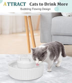 Ceramic Cat Water Fountain, Pet Ceramic Water Fountain Dispenser, 2.1 L Drinking Fountains Bowl for Cats and Dogs with Replacement Filters and Foam(White)