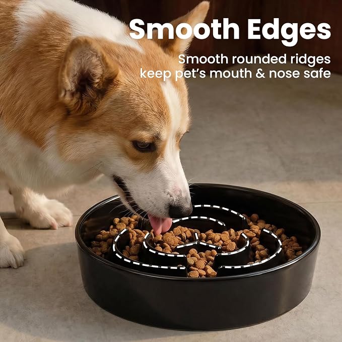 Ceramic Slow Feeder Dog Bowls 0.6 Cups for Small Fast Eaters,White | Reduces Bloating,6.02x1.38 Inch Dish For Daily Dog Meals, Maze Puzzle Slows Down Eating, Anti-Choking,9.0oz Water