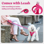 rabbitgoo Dog Harness Small Sized and Leash Set, Step-in Puppy Pet Vest | Light, Soft, Breathable Air Mesh, Easy on and Remove with Hook & Loop, Secure Reflective for Walking, Rose Red S