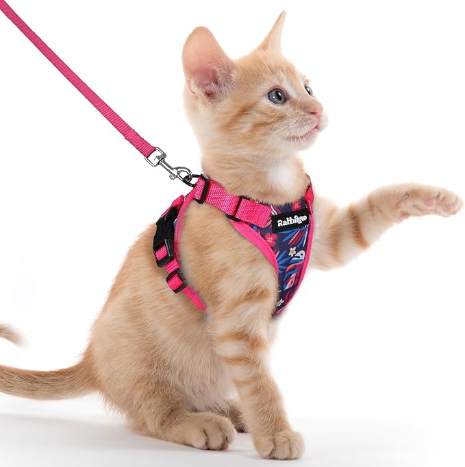 rabbitgoo Cat Harness and Leash Set, Escape Proof Vest, Coconut Fuchsia | Soft Breathable Mesh, Easy Adjustable Fit, Snap Buckles, Sturdy Clip, Reflective Strips, for Kittens & Small Cats Walks, Xxs