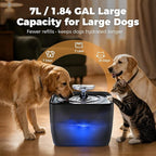 Pet Water Fountain for Large Dogs & Cats, 7L/1.84Gal, Quiet Automatic Pump | Large dog water bowl dispenser for multi-pet households,easy to clean,visible water level, no spill, recirculating system