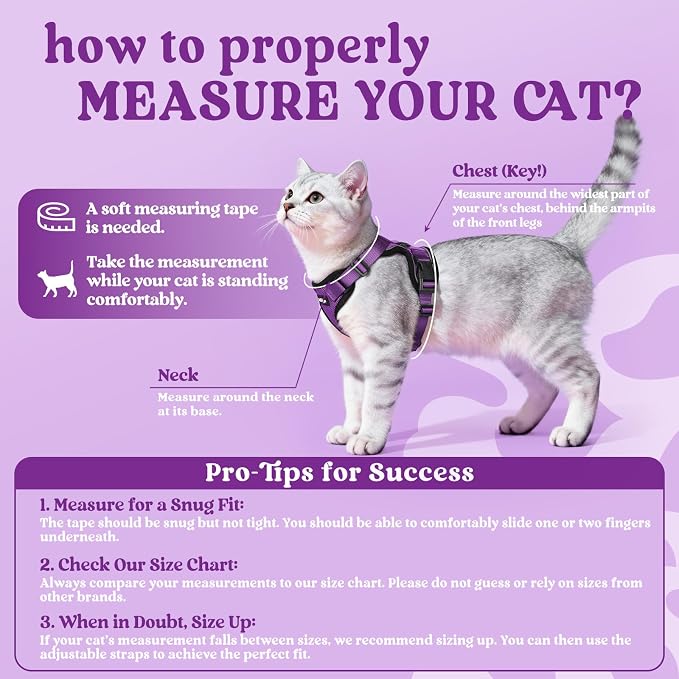 rabbitgoo Cat Harness and Leash Set, Escape Proof Vest, Purple | Soft Breathable Mesh, Easy Adjustable Fit, Snap Buckles, Sturdy Clip, Reflective Strips, for Small & Average Cats Walks, Xs