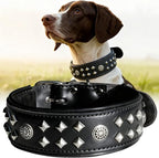 Genuine Leather Dog Collar 2.2 in Wide for Large Dogs Heavy Duty, BK-SL-M | Handcrafted,Stainless Steel Buckle and Alloy Studded,Soft Padded,Fashionable Daily Wear for Large Giant Breed,19.5-23.5 in