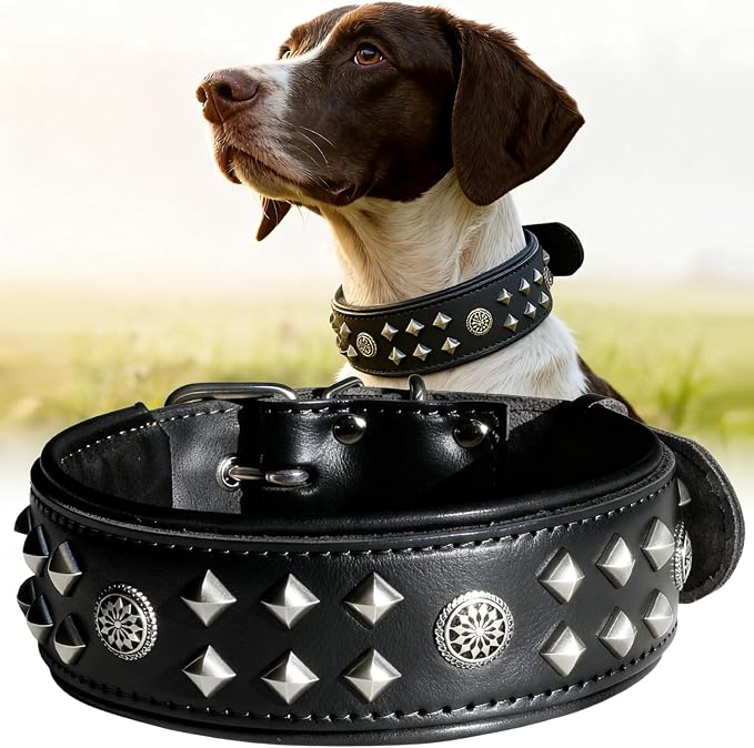 Genuine Leather Dog Collar 2.2 in Wide for Large Dogs Heavy Duty, BK-SL-M | Handcrafted,Stainless Steel Buckle and Alloy Studded,Soft Padded,Fashionable Daily Wear for Large Giant Breed,19.5-23.5 in