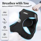 rabbitgoo Dog Harness Small Sized and Leash Set, Step-in Puppy Pet Vest | Light, Soft, Breathable Air Mesh, Easy on and Remove with Hook & Loop, Secure Reflective for Walking, Black S