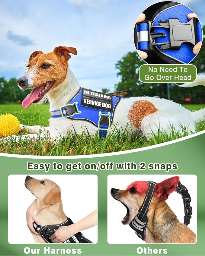 Small Service Dog Vest Harness and Leash Set+10 Patches Blue XS | Adjustable,Reflective,Do Not Pet Emotional Support Dog Vest with 2 Soft Padded Handle,MOLLE,for Everyday Training Hiking