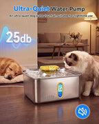 Kastty 15L/4 Gal Stainless Steel Dog Water Fountain Large Capacity,FS78 | Dog Water Bowl Dispenser with Visual Window & LED Light 5-Stage Filtration ,Ultra Quiet Pet Water Fountain Easy Clean,Yellow