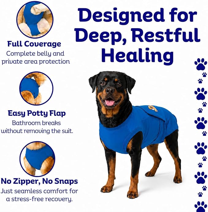 SurgiSnuggly Veterinary Invented Dog Surgical Recovery Suit for Female Spay or Male Dogs Neuters Onesie,Cone Alternative, Original Onesie Bodysuit for After Surgery Small, Medium, Large Dogs BL 2XL S