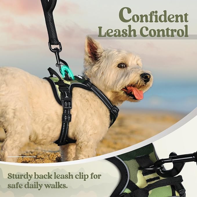 rabbitgoo Dog Harness, No Pull for Small Dogs with 2 Leash Clips, Pet Vest | No Choke with Handle, Adjustable Soft Padded, Reflective, Easy Control for Walking, Green Mountain, X-Small
