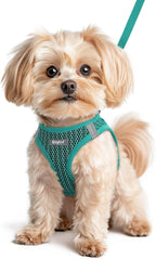 Eagloo Small Dog Harness and Leash Set, Step in Small Sized Puppy Pet Vest | Light, Soft, Breathable Air Mesh, Easy on and off with Hook & Loop, Reflective for Safe Walking, Forest Green, XS