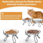 Presents The Ultimate Cat Dining Set: 5.9 inch Ceramic Water Bowl and Whisker-Friendly and Anti-Vomiting Plates.Elevated Bowl, Raised Ceramic Dish with Metal Stand