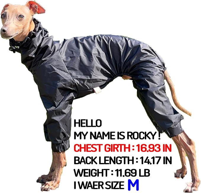D Doggy Star Italian Greyhound Raincoat Waterproof Jacket Windbreaker Clothes Whippet for Dog (3XL,Raincoat Black)