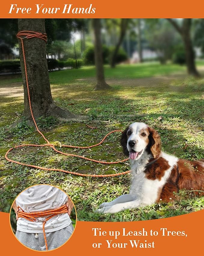 Long Dog Leash - 10FT/16FT/30FT/50FT/100FT, Reflective, Heavy Duty for Large, Medium, Small Dogs - Walking, Playing, Camping, Yard