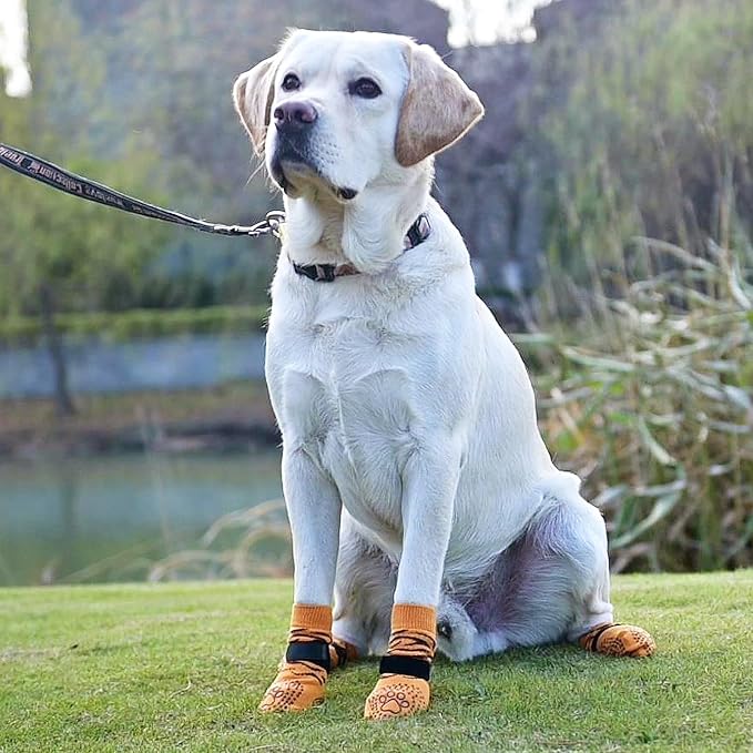 KOOLTAIL Dog Socks for Hot/Cold Pavement to Prevent Licking Paws,Dog Boots&Paw Protector for Hardwood Floors Anti Slip,Traction Control No Twist Grip Booties for Small Medium Large Senior Dogs SM