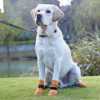 KOOLTAIL Dog Socks for Hot/Cold Pavement to Prevent Licking Paws,Dog Boots&Paw Protector for Hardwood Floors Anti Slip,Traction Control No Twist Grip Booties for Small Medium Large Senior Dogs L
