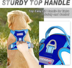 BARKBAY No Pull Dog Harness Front Clip Heavy Duty Reflective Easy Control Handle for Large Dog Walking(Sapphire Blue & Blue,XS)
