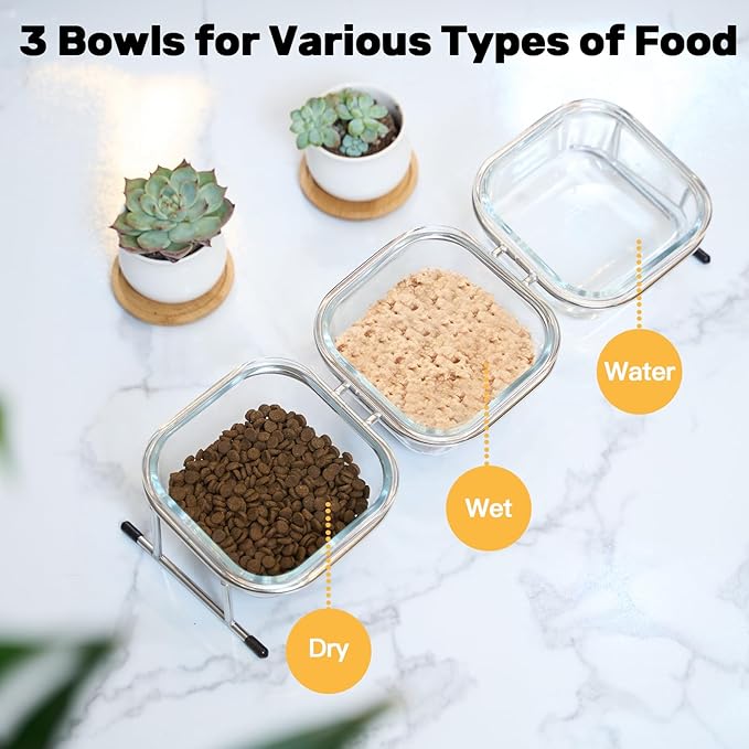 Elevated Cat Bowls, 15° Tilted Glass Raised Cat Food and Water Bowl | Stainless Steel Stand, 3 Large Capacity Glass Cat Bowls and 4 Anti Slip Feet, Suitable for Cats and Little Dogs