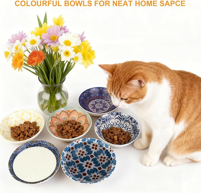 Ceramic Cat Food Bowls, 6 Pack 5.7-in Non-Slip Cat Dishes for Food, Water | Food-Safe Ceramic, Shallow Whisker-Friendly Plates For Wet Meals, Kibble, Multi-Cat Homes, Dishwasher And Microwave Safe