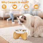 Raised Ceramic Slow Feeder Cat Bowl 6.3" Wide with Stand (1 Pack) | Anti-Gulping & Keep Fit, Dishwasher Safe, For Dry and Wet Food, For Cats and Small Dogs, Shallow Bottom Puzzle Feeder