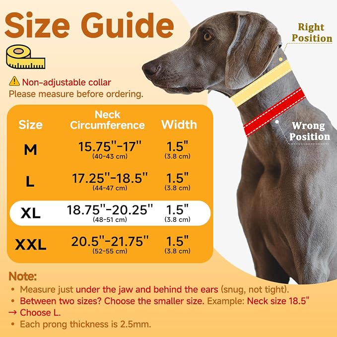 Mayerzon Martingale Dog No Pull Collar with Metal Buckle, Black, XL, 2.5mm | Walking Training Collar for Medium Large Dogs German Shepherd, Boxer, Rottweiler that Pull, Reflective, 360° Swivel Ring