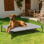 Veehoo Outdoor Elevated Dog Bed Large Sized Dogs, XXL Cooling Raised Dog Cots Beds Training Platform Off Ground Hammock with Breathable Mesh, No-Slip Feet, 59"x37.5", Grey | Off-ground training platform, portable camping hammock, breathable mesh, easy ...