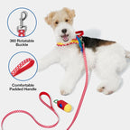 VETRESKA MoMA Dog Harness and Leash Set, Easy Walk Dog Harness (Red, XS) | for Small Medium Dogs, No Pull Puppy Harness for Walking and Training, Adjustable, Take Control & Anti-Twist Pet Lead Combo