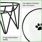 Ceramic Cat Bowls, 2 Pack - Raised, Whisker Friendly, Anti-Vomiting Cat Food Plates - Hygienic, Secure Material, Elegant Stand, 10 oz, for Indoor Cats & Kittens