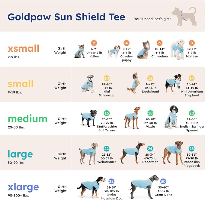 Gold Paw Sun Shield Dog Tee – T-Shirt for Canines – UV Protection, Pet Anxiety Relief, Wound Care – Protects Against Foxtails, Aids Alopecia - Machine Washable, All Season – Size 4 – Pistachio
