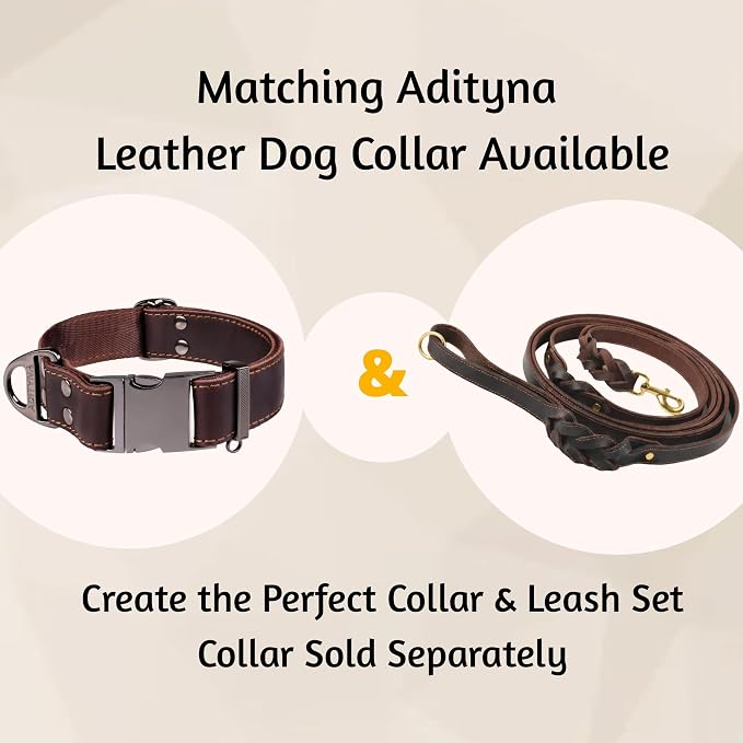 ADITYNA Leather Dog Leash with Traffic Handle, 6ft, Medium & Small Dogs | Heavy-duty braided leather leash, 5/8" width x 6ft, Double handle for extra control, ideal for training & busy sidewalks.