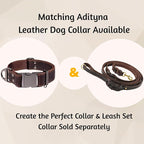 ADITYNA Leather Dog Leash with Traffic Handle, 6ft, Medium & Small Dogs | Heavy-duty braided leather leash, 5/8" width x 6ft, Double handle for extra control, ideal for training & busy sidewalks.