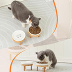 Lusifaco Shallow Wide Elevated Cat Bowls Whisker Fatigue (White,Set of 1) | 5.9 Inch 2 Height Raised Ceramic Cat Dishes with Bamboo Stand, Flat Pet Water Food Plates Feeding Station for Indoor Kitten
