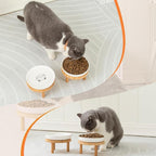 Lusifaco Shallow Wide Elevated Cat Bowls Whisker Fatigue(Grey,Set of 1) | 5.9 Inch 2 Height Raised Ceramic Cat Dishes with Bamboo Stand, Flat Pet Water Food Plates Feeding Station for Indoor Kitten