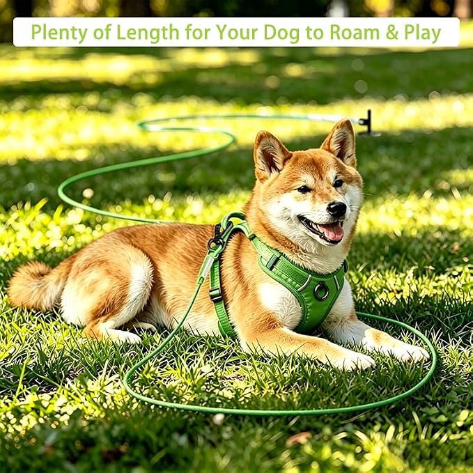 Dog Tie Out Cable - Chew Proof Steel Wire Lead - 360° Tangle Free Outdoor Leash for Pups - Dog Runner Cable for Small to Medium Dogs (Green, 45lbs/10ft)
