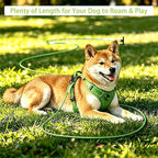 Dog Tie Out Cable - Chew Proof Steel Wire Lead - 360° Tangle Free Outdoor Leash for Pups - Dog Runner Cable for Small to Medium Dogs (Green, 45lbs/50ft)
