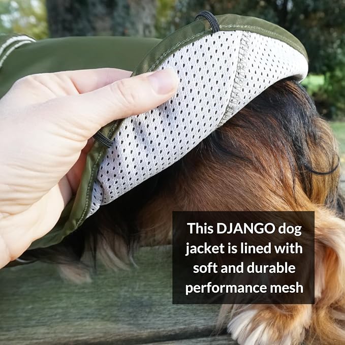 DJANGO Dog Jacket & Raincoat – Lightweight Water-Resistant Coat for Small, Medium & Long Dogs Like Dachshunds – Reflective, Adjustable Fit, Harness-Compatible & Easy-Access Harness Hole - Green, Small