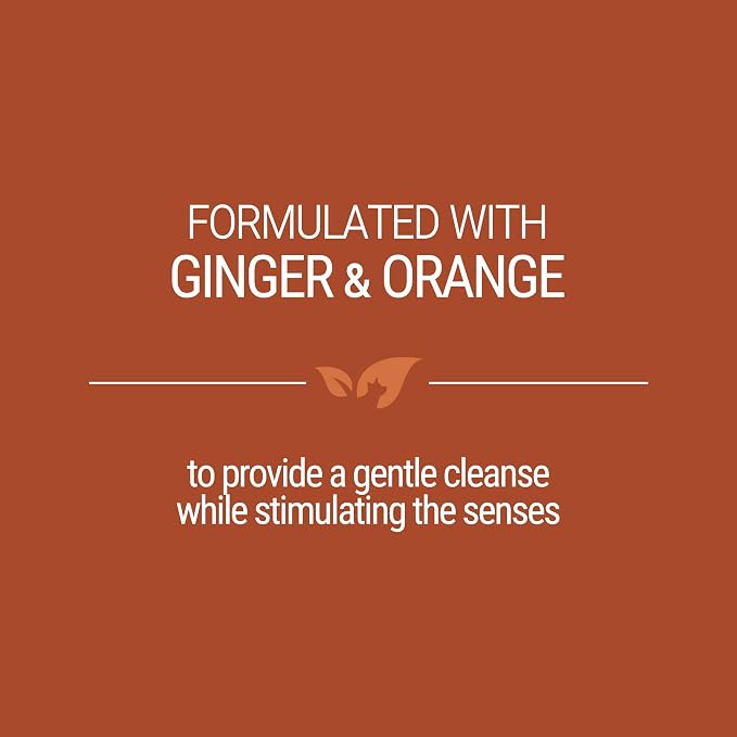 Green Groom Ginger Orange Aromatherapy Calming Dog Shampoo, 1 Gallon | 32:1 Concentrate, Essential Oils Calm and Relieve Tension, Coconut Oil, Boosts Volume, Pet Grooming Wash, Groomer Grade