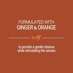 Green Groom Ginger Orange Aromatherapy Calming Dog Shampoo, 1 Gallon | 32:1 Concentrate, Essential Oils Calm and Relieve Tension, Coconut Oil, Boosts Volume, Pet Grooming Wash, Groomer Grade
