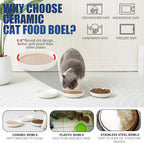 Lusifaco Shallow Wide Cat Food Bowls Anti Whisker Fatigue (Blue, 3 Pack) | 5.9 Inch 2 Height Raised Ceramic Cat Dishes with Bamboo Stand, Flat Pet Water Food Plates Feeding Station for Indoor Kitten