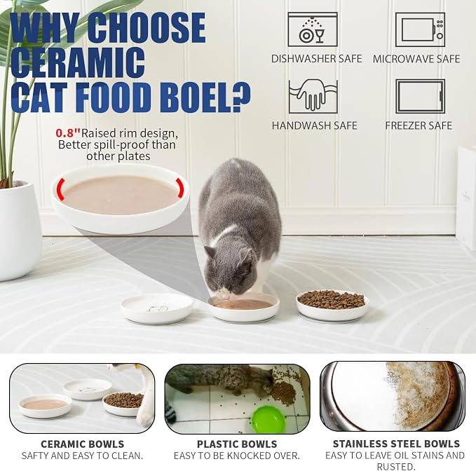 Lusifaco Shallow Wide Cat Food Bowls Anti Whisker Fatigue (Green, 3 Pack) | 5.9 Inch 2 Height Raised Ceramic Cat Dishes with Bamboo Stand, Flat Pet Water Food Plates Feeding Station for Indoor Kitten