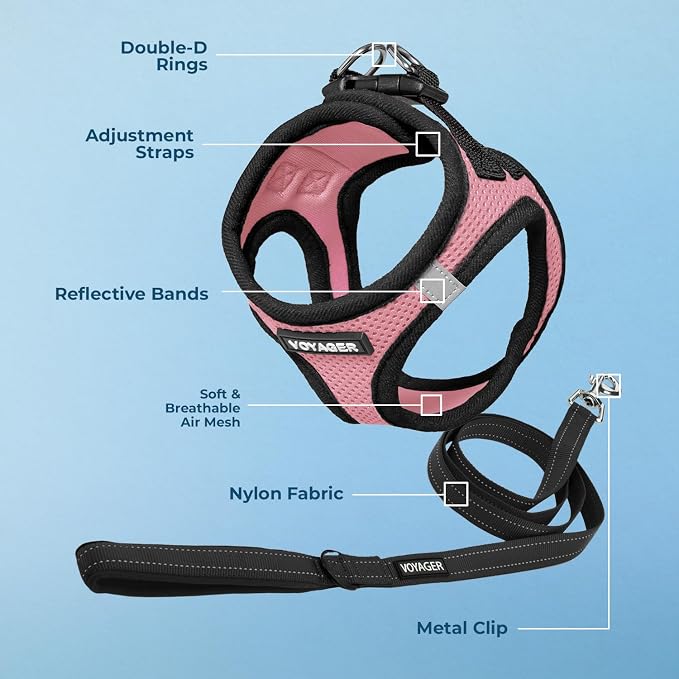 Best Pet Supplies Voyager Step-in Air All Weather Mesh Harness and Reflective Dog 5ft Leash Combo with Neoprene Handle, for Small, Medium and Large Breed Puppies - Pink Base, Small