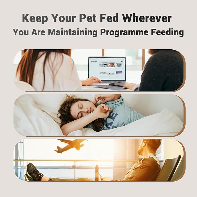 PETULTRA Automatic Cat Feeder: 4L Timed Cats Food Dispenser Programmable 1-6 Meal for Cat and Small Medium Dog- Auto Pet Feeder Easy to Set Up Dual Power Supply with Desiccant Bag| Detachable Washable