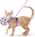 rabbitgoo Cat Harness and Leash Set, Escape Proof Vest, Purr-ple Daisy | Soft Breathable Mesh, Easy Adjustable Fit, Snap Buckles, Sturdy Clip, Reflective Strips, for Average Cats Walks, S